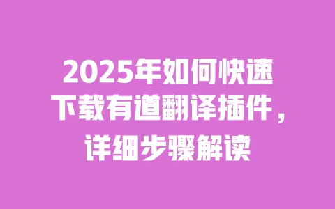 2025年如何快速下载有道翻译插件,详细步骤解读 一