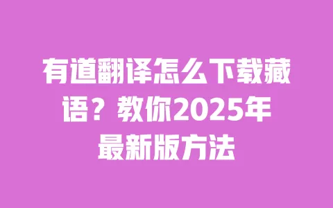 有道翻译怎么下载藏语?教你2025年最新版方法 一