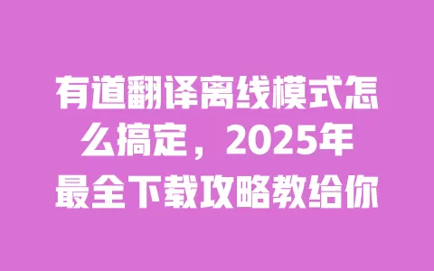 有道翻译离线模式怎么搞定,2025年最全下载攻略教给你 一