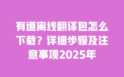 有道离线翻译包怎么下载?详细步骤及注意事项2025年 一