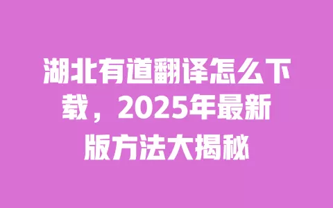 湖北有道翻译怎么下载,2025年最新版方法大揭秘 一