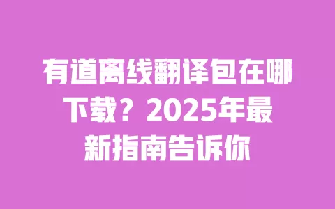 有道离线翻译包在哪下载?2025年最新指南告诉你 一