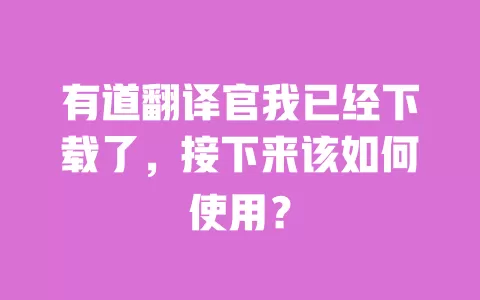 有道翻译官我已经下载了,接下来该如何使用? 一
