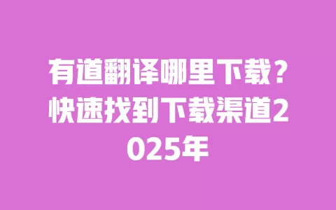 有道翻译哪里下载？快速找到下载渠道2025年 一