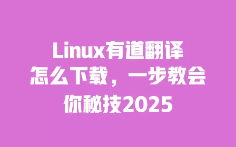 Linux有道翻译怎么下载，一步教会你秘技2025 一